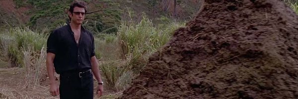 BugsBeanie Profile Banner