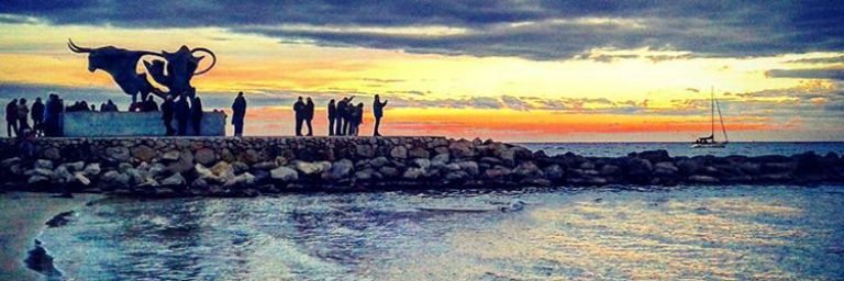 RosaAnguis's profile banner image