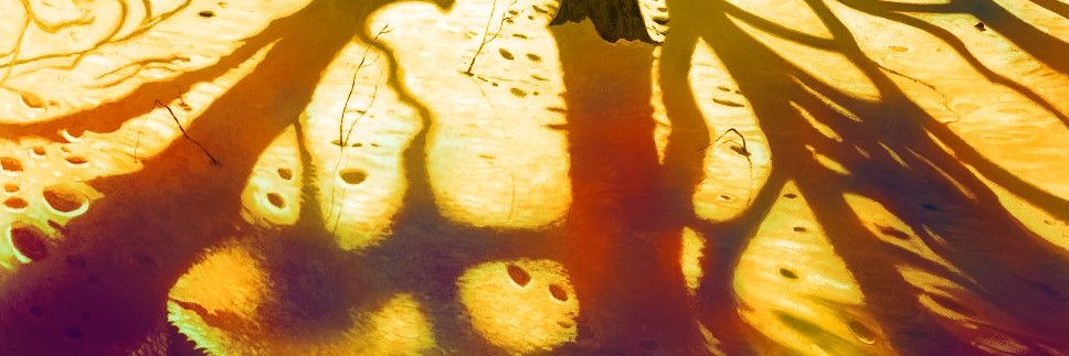 LAVR4M banner