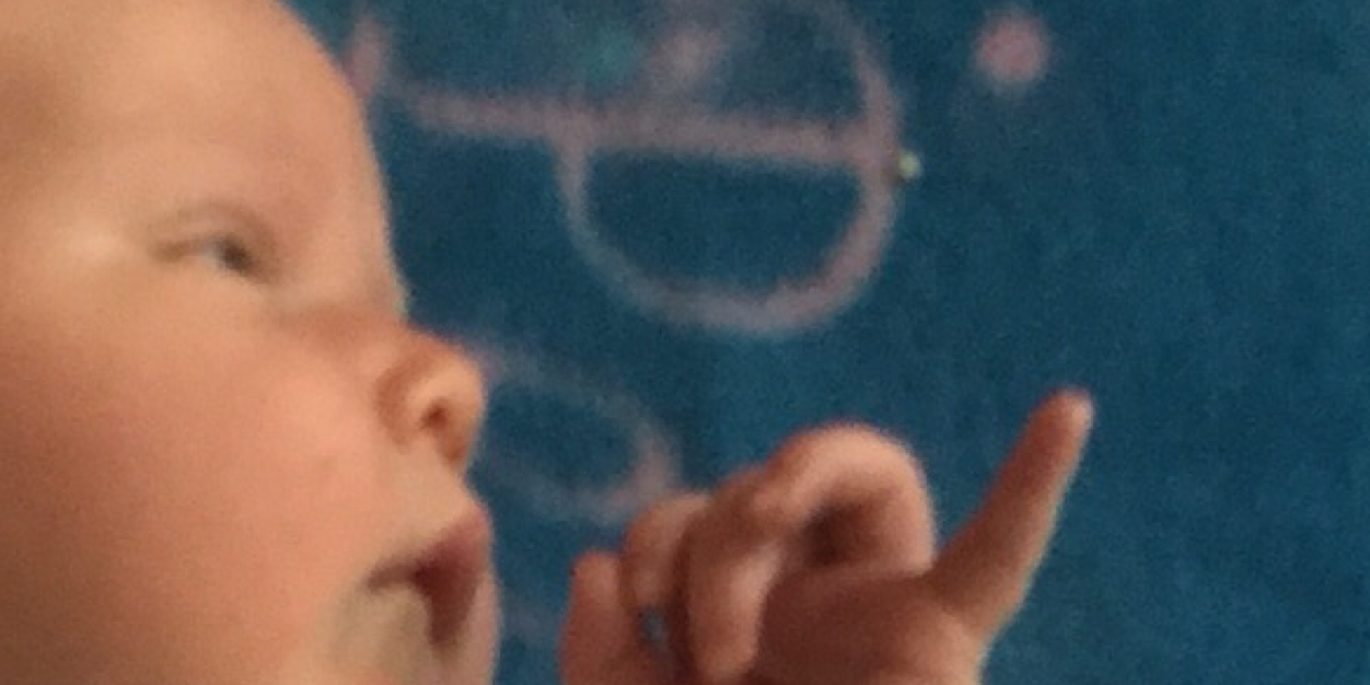 Corbb O'Connor banner