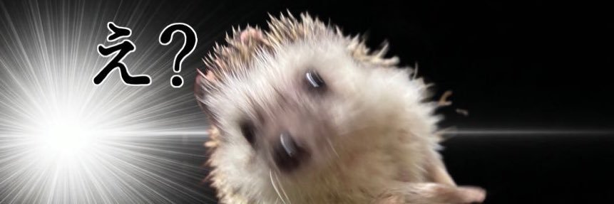 匿名ねぎ banner