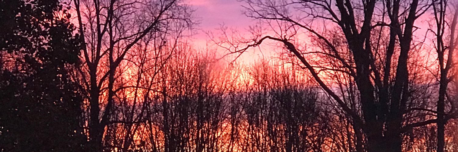 MikeBergMM's profile banner image