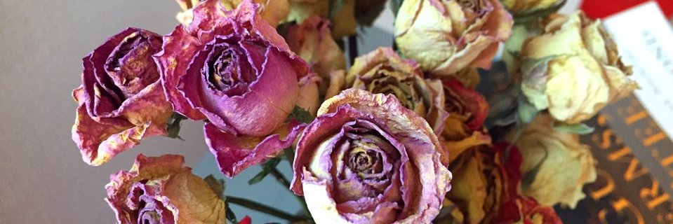 skillerj's profile banner image