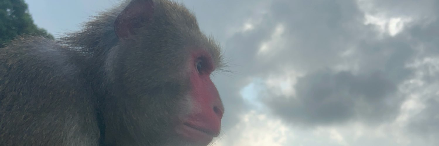 kobarutoay315's profile banner image