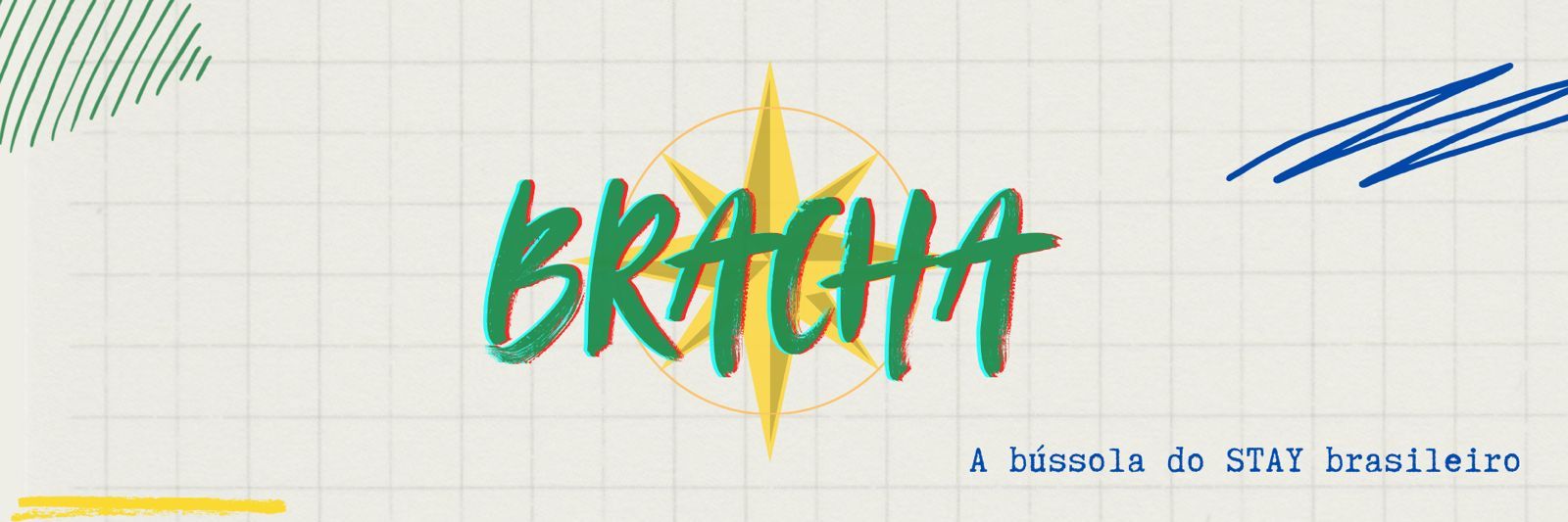 SKZBracha banner