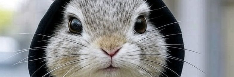 soliscrazybro's profile banner image