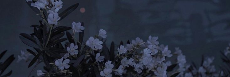MiriamSmith95's profile banner image