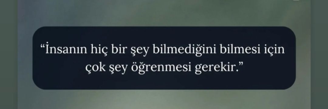 Feryal banner