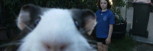 1oinaol's profile banner image