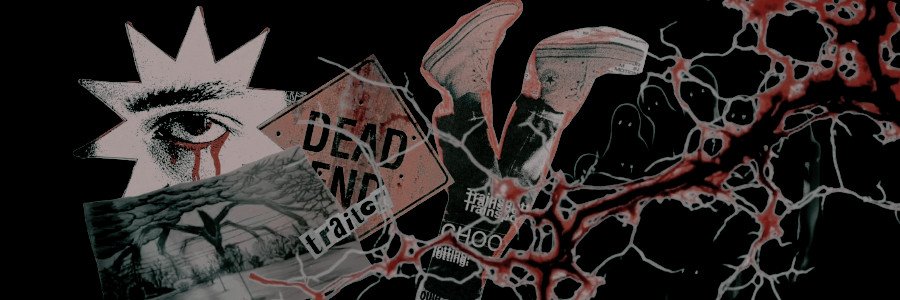‍ ‍ ‍ ‍ ‍ ‍ ‍‍𝐫𝒐𝐛𝐢𝒏 banner