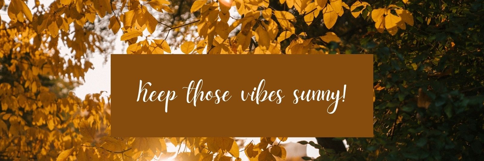 Faith DeLange banner