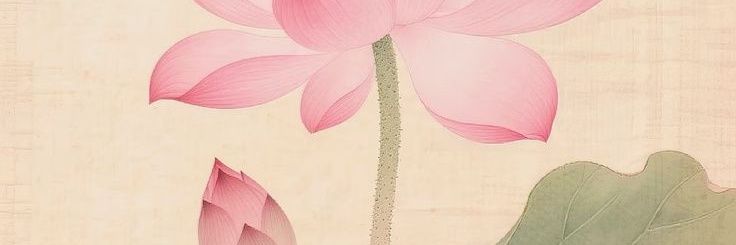 รินรวี banner