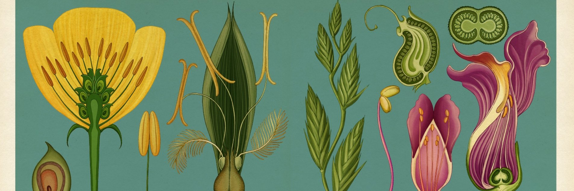 Katie Scott banner
