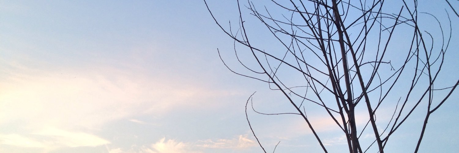 tamanawan's profile banner image