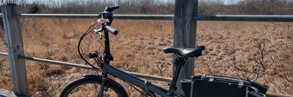 jimmybot Profile Banner