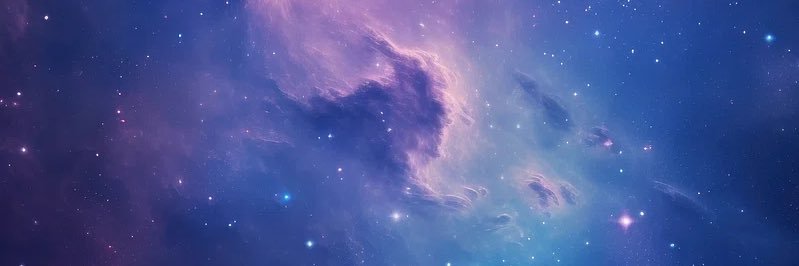 Sean banner