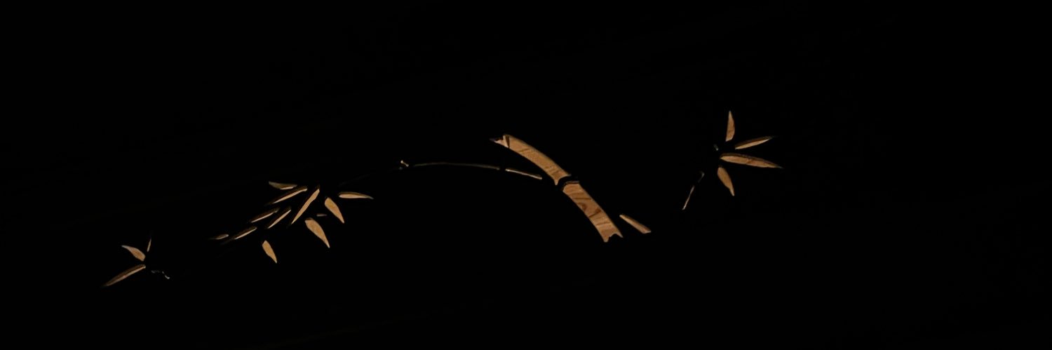 akikoyp27's profile banner image