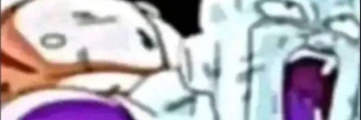 PiccoroPucho's profile banner image