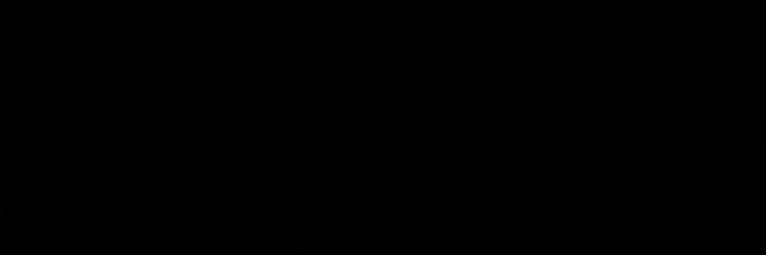 sempre riccardo ma diverso banner