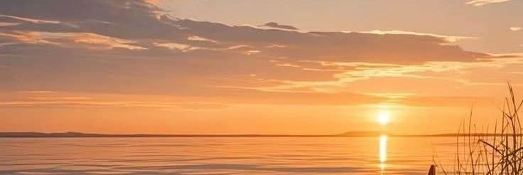 🕊 banner