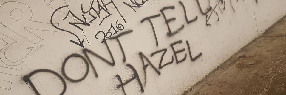 Hazel Anneke Dixon banner