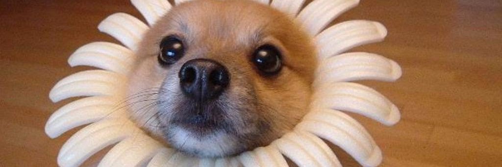 robynyarrow's profile banner image