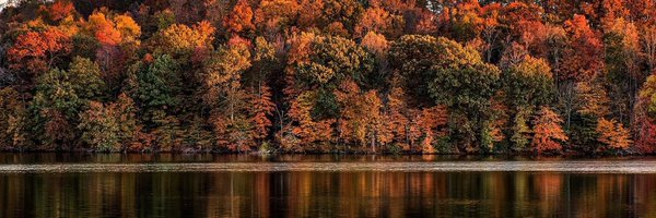 kylefarmer Profile Banner