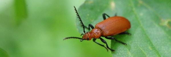 jash147 Profile Banner