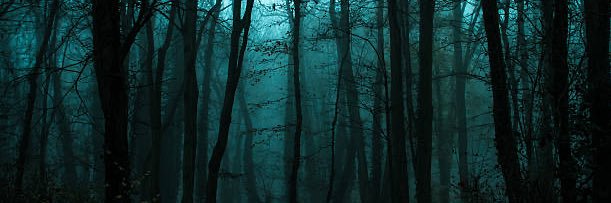 BlueSnapdragons banner