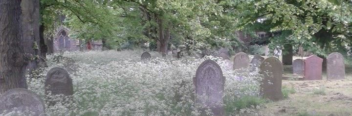 angelette ♡ banner