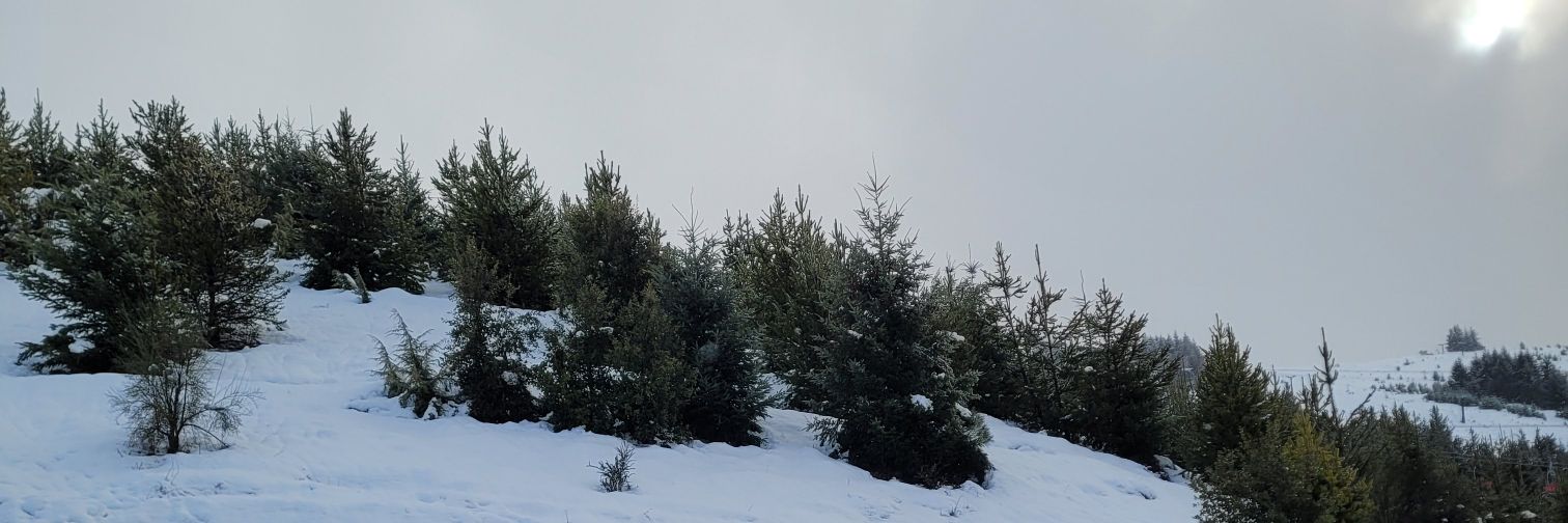 _sergioab's profile banner image