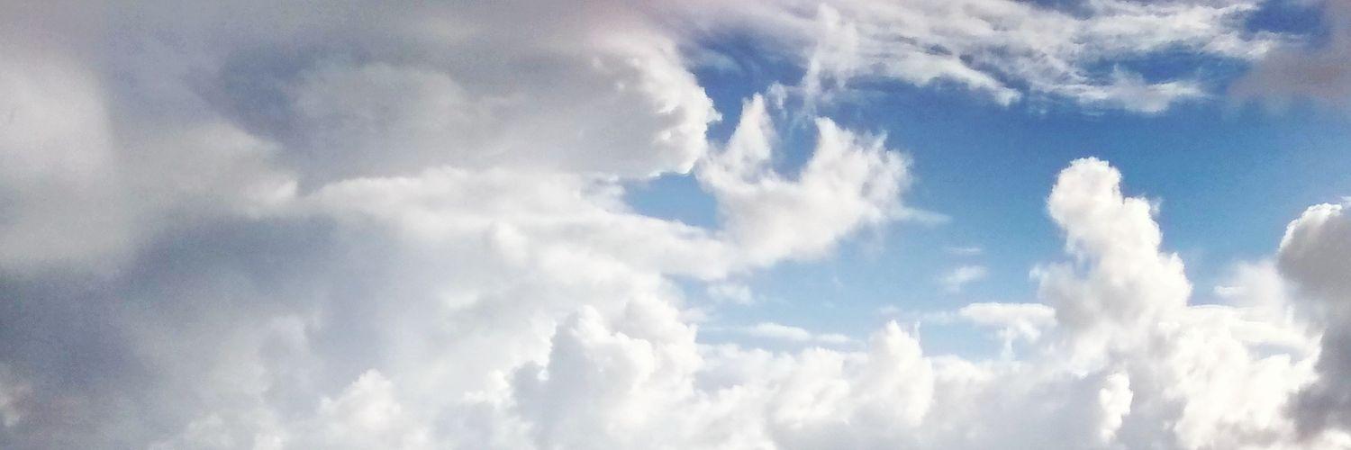 Connie van Zanten banner