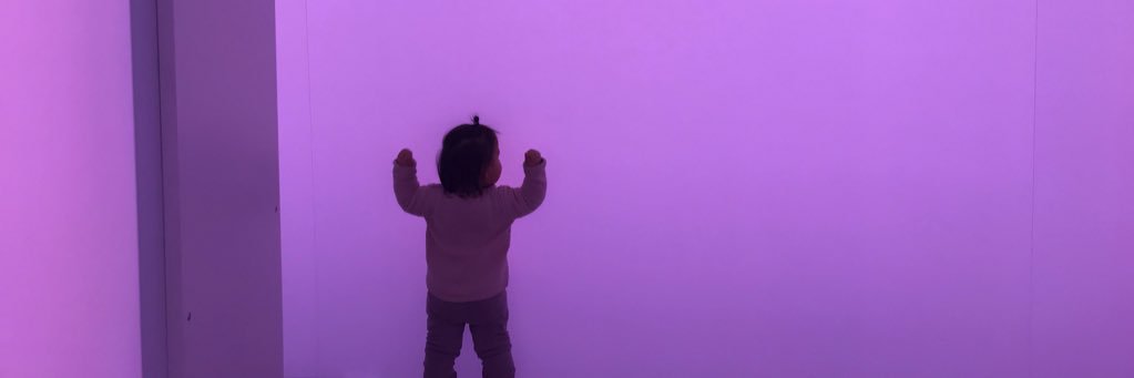 Mihail Mihaylov banner