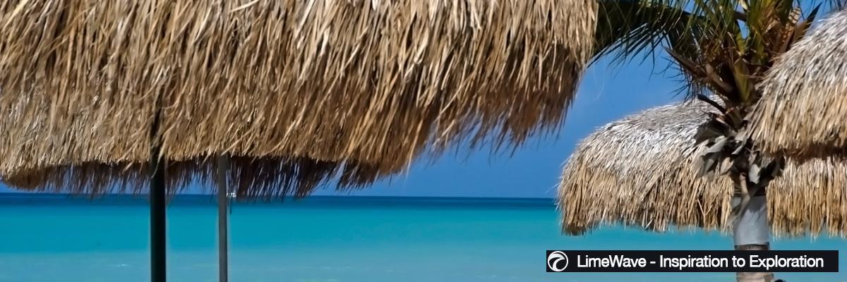 LimeWave's profile banner image