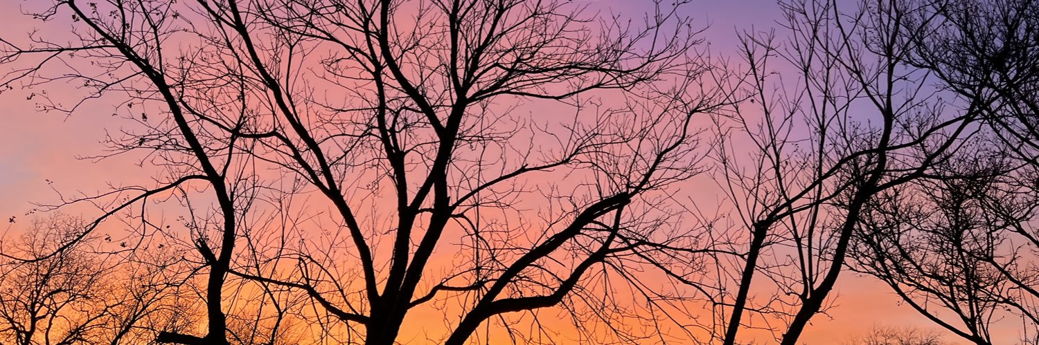 psyco_1's profile banner image