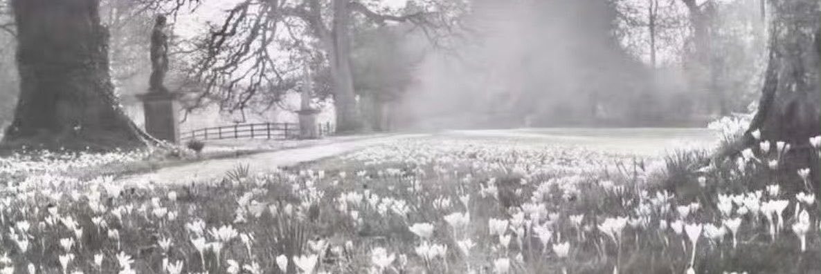 hkn1ek's profile banner image