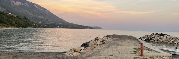 mandicollins5 Profile Banner