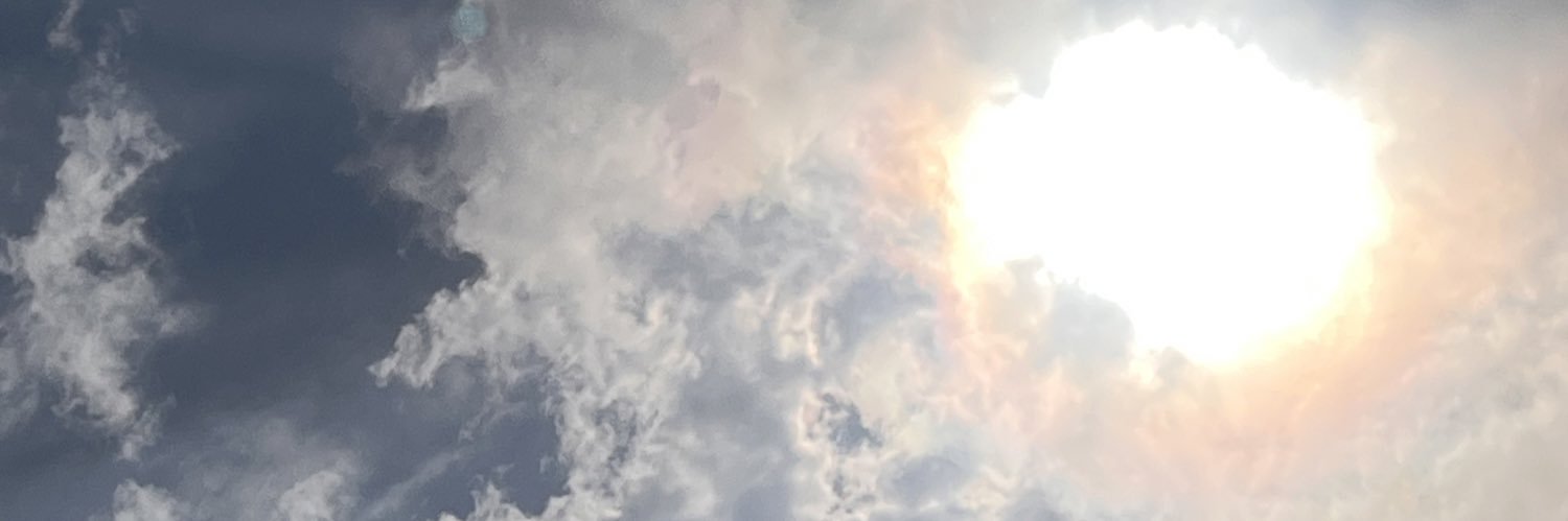 nichouu's profile banner image