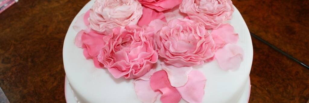 weddingccakeco's profile banner image