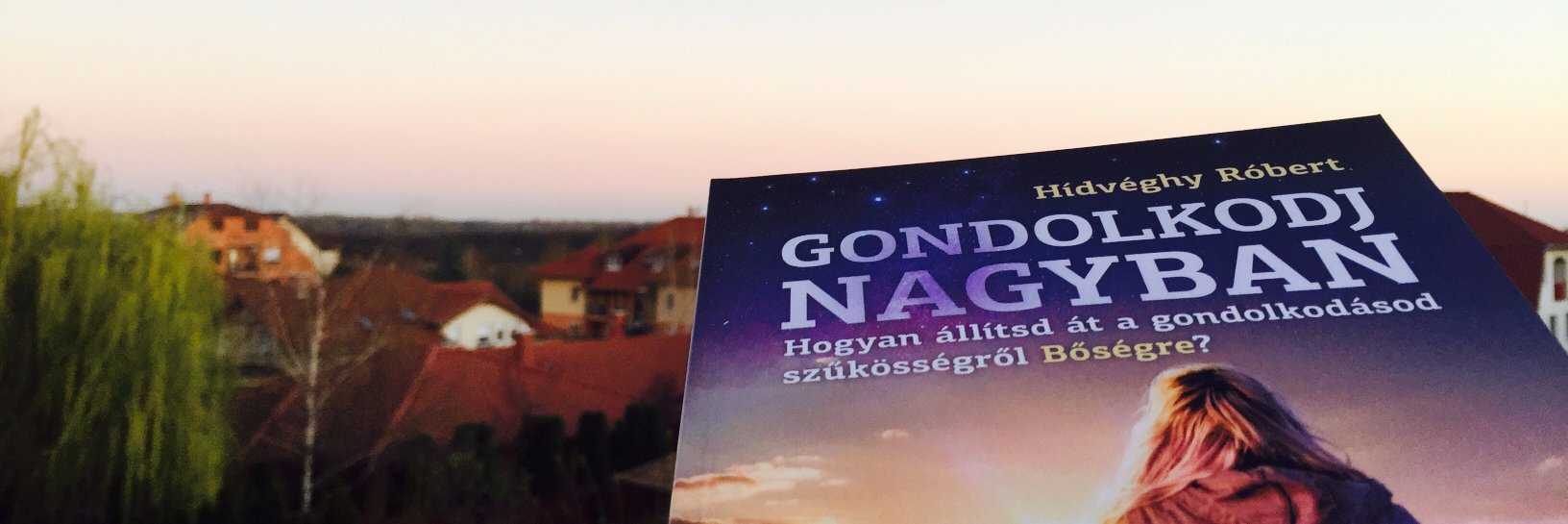 hidveghyrobert's profile banner image