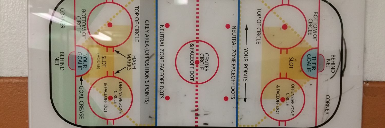 hockeyinthesouth banner