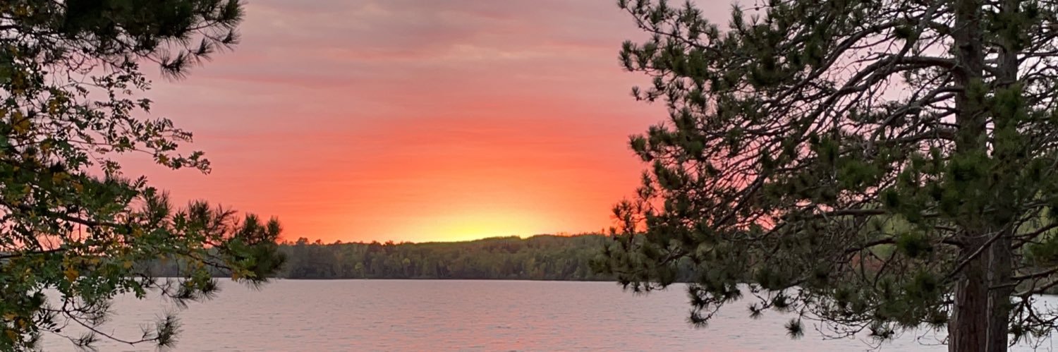 thisbirdsreal's profile banner image