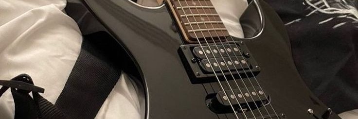 Sheplayssixstrings banner