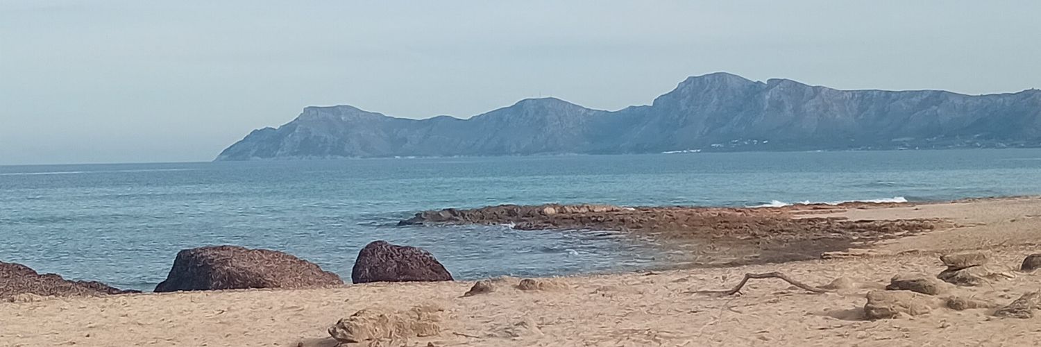 AnalargoC's profile banner image