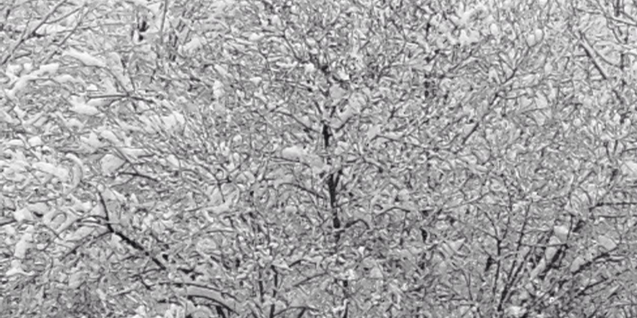 was1124's profile banner image