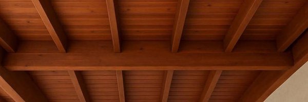 tala77458 Profile Banner