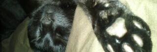 misskle's profile banner image