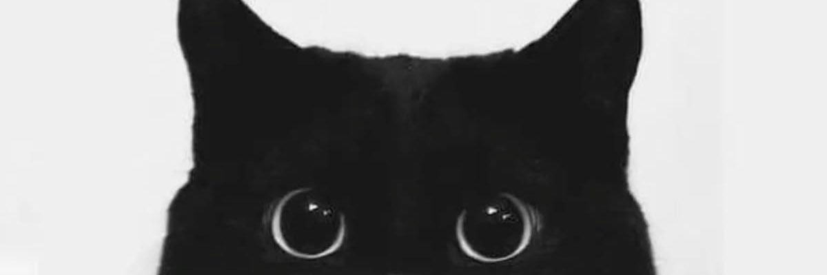 xiaozingsgnu's profile banner image
