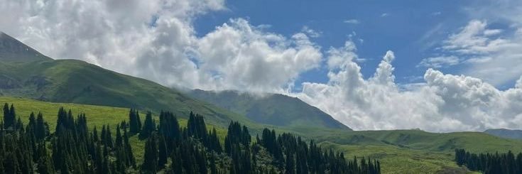 (넹글..💒) banner