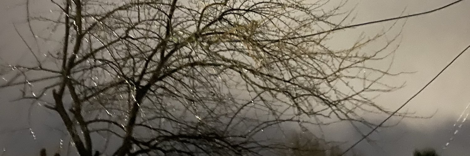 زَنبورِعَسَل🐝🍯 banner